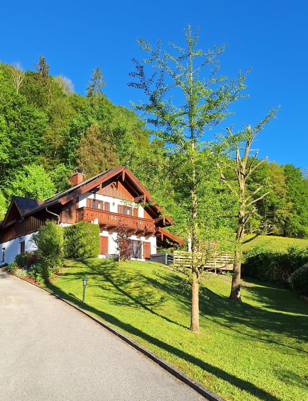 Luxus Alpenparadies Nahe Salzburg Sauna & Whirlpool Adnet Exterior photo